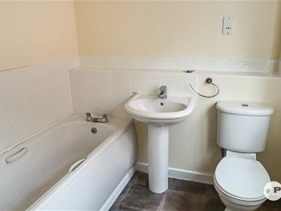 Picture 16